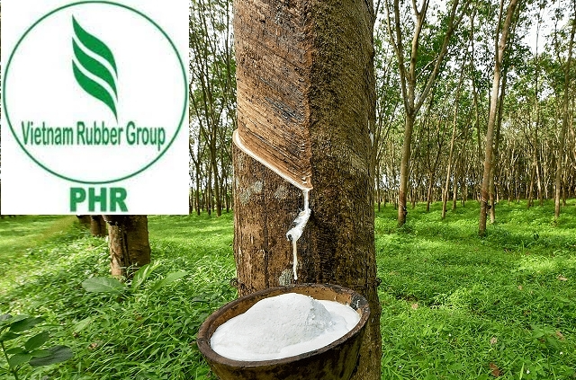 Cao su Phước Hòa (PHR) báo lãi năm 2021 đạt 578 tỷ đồng, giảm 48,6% 